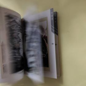 签名本 夕阳情 柳叔文 刘康俊书画集