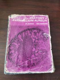 The anatomy of Paramecium aurelia（英文原版）