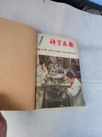 科学画报（1978年1-12合订本）