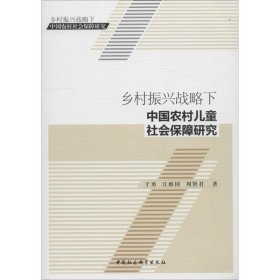乡村振兴战略下中国农村儿童社会保障研究于勇