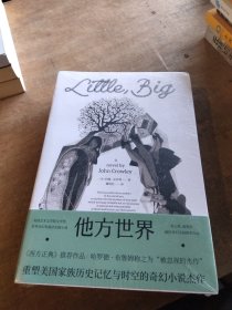 他方世界（媲美《百年孤独》的奇幻文学杰作）