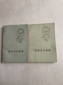 契诃夫小说选（上下）