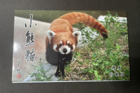 小熊猫 动物专题 精美珍藏版 10枚全带封套 中国邮政明信片 五套包邮