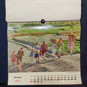 老挂历 1973年挂历 13张完整