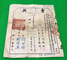 老北京资料：1951年 石板房二条11号 卖契一张 所长 阎世增  30*24cm