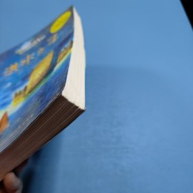 桂冠国际大奖儿童文学—洪水之子