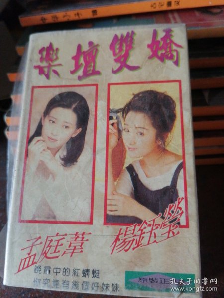 磁带乐坛双娇，杨钰莹，孟庭苇