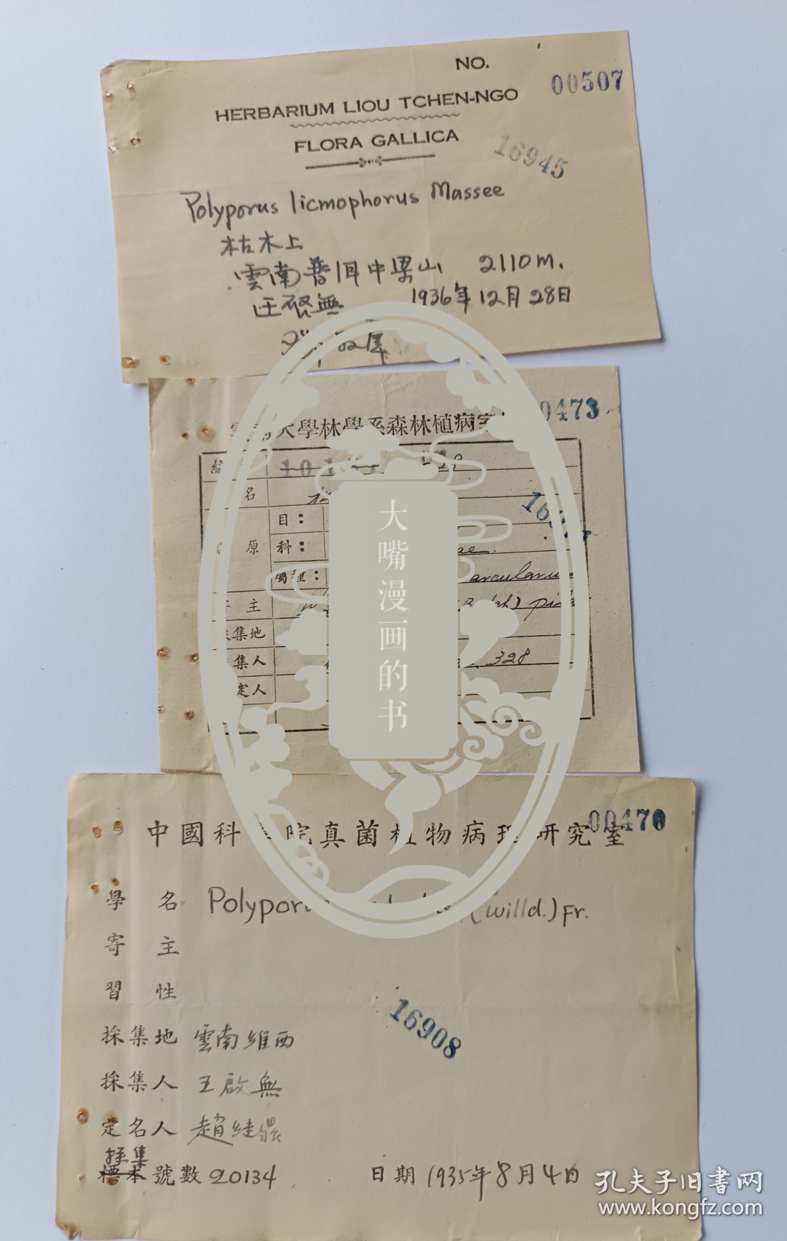 中央研究院院士、著名科学家邓叔群、科学家赵继鼎、任玮签名登记植物标本登记表2