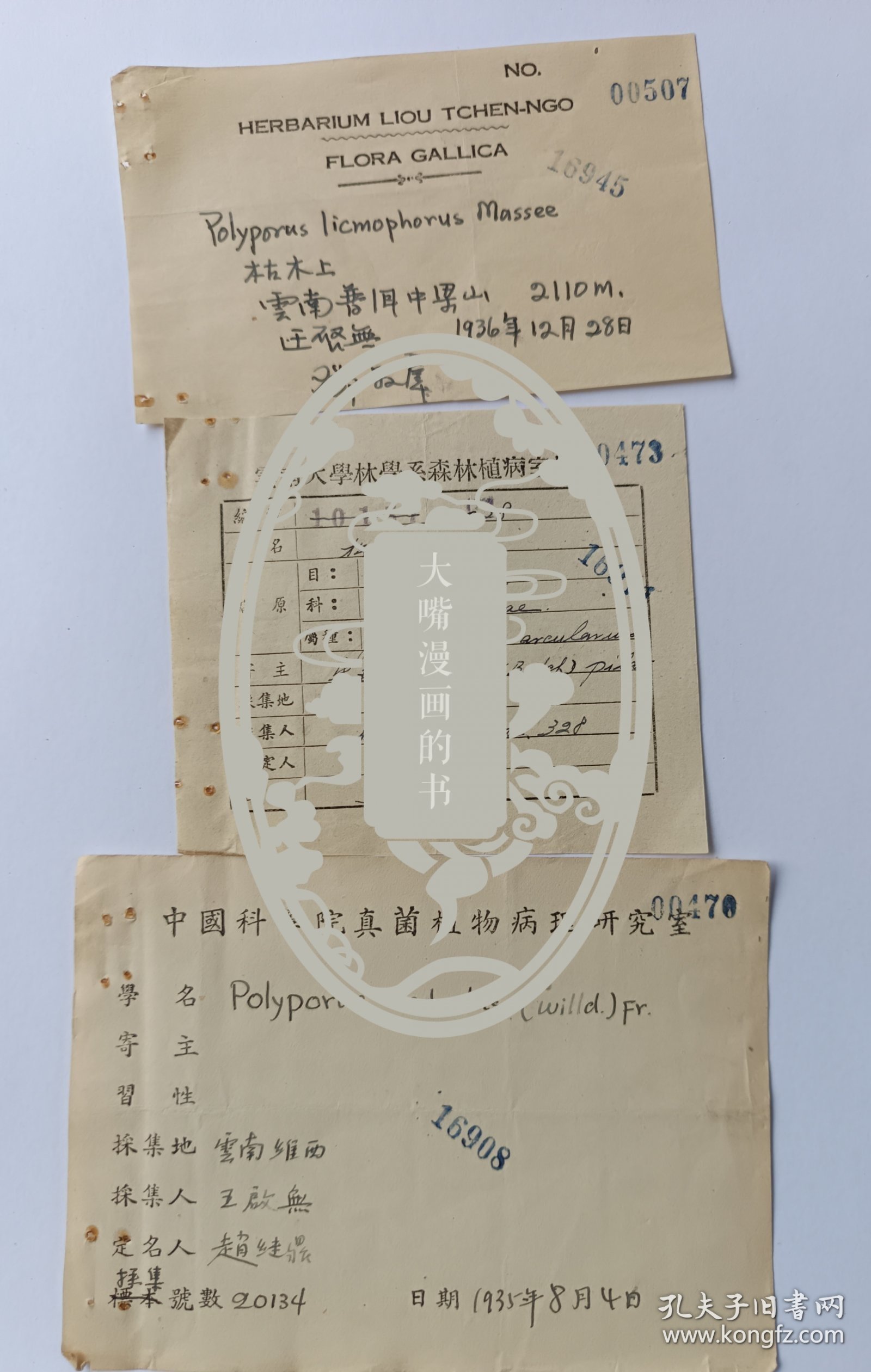 中央研究院院士、著名科学家邓叔群、科学家赵继鼎、任玮签名登记植物标本登记表2