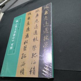 名家临名帖系列 赵孟頫、王铎临集王圣教序对照