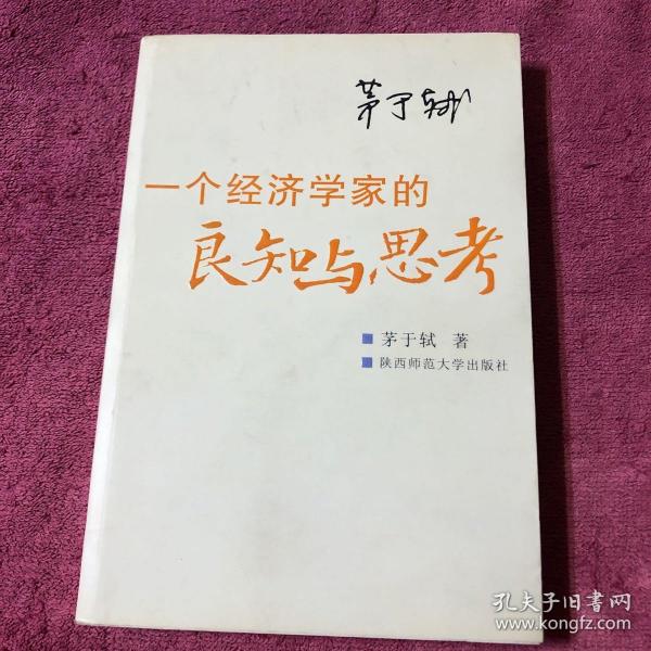 一个经济学家的良知与思考：当前社会问题随笔