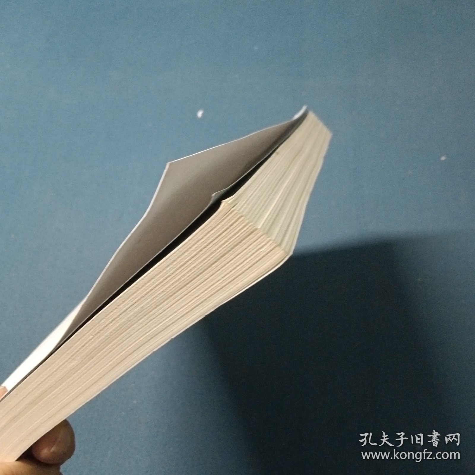 全新正版图书 乡村振兴与民生保障