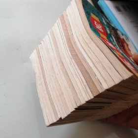 呼家将 连环画20册全