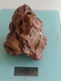 阿拉善奇石-风砺石/戈壁石9*7cm