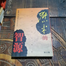 邓小平的智源（修订本）（图文版）