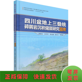 四川盆地上三叠统碎屑岩沉积储层研究图集(精)