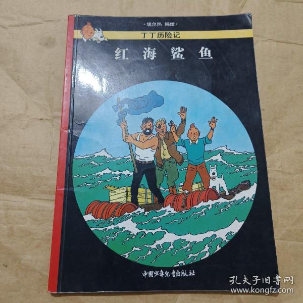 红海鲨鱼