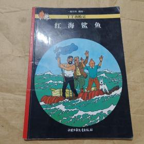 红海鲨鱼