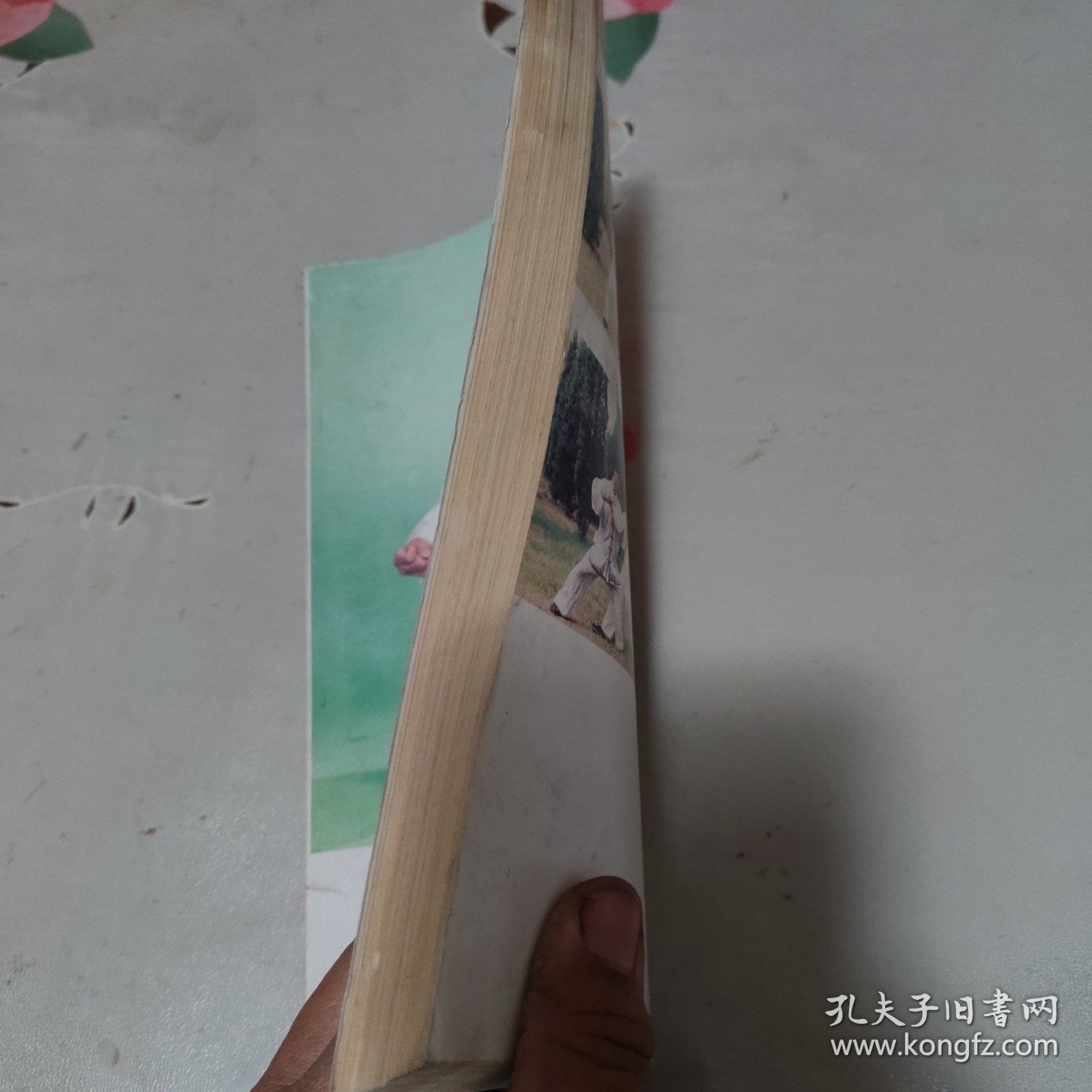 陈式心意混元太极拳教材