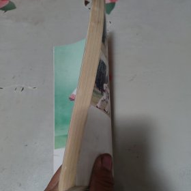 陈式心意混元太极拳教材