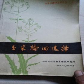 玉米轮回选择
