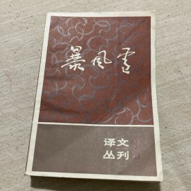 暴风雪 译文丛刊