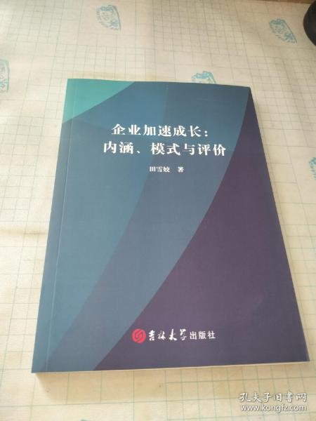 企业加速成长:内涵、模式与评价