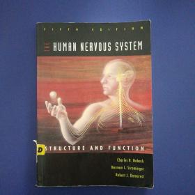 The Human Nervous System: Structure and Function