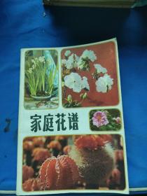 家庭花谱