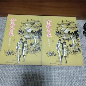 金粉世家 张恨水著 中下（1980年版竖排版繁体字，缺上册，合售中下册两本）自然旧品相很好无明显翻阅痕迹