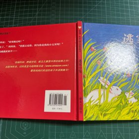 信谊绘本世界精选图画书：逃家小兔［精装］