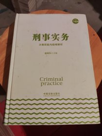 刑事实务办案技能与疑难解析【精】