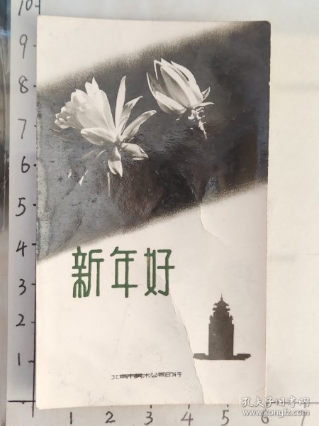 1964年“新年好”照片