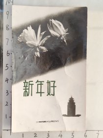 1964年“新年好”照片