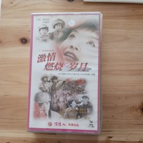 二十二集电视连续剧<激情燃烧的岁月>[22碟装VCD]精装版