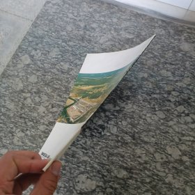 SKEGA