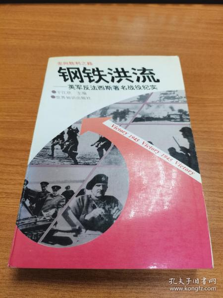 二战纪实丛书走向胜利之路：钢铁洪流—英军反法西斯著名战役纪实