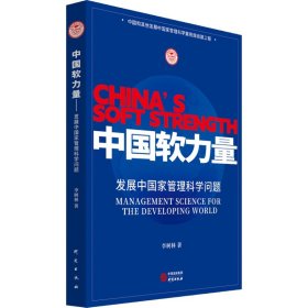 正版 中国软力量 发展中国家管理科学问题 李树林 研究出版社