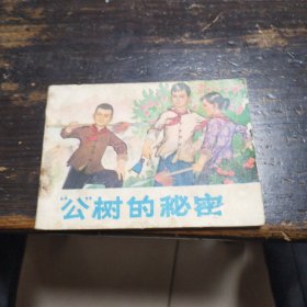 公树的秘密