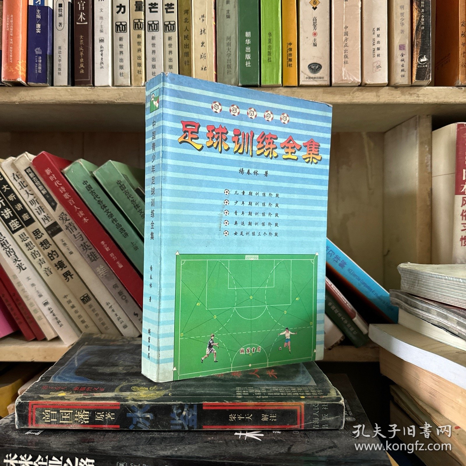 中国青少年足球训练全集