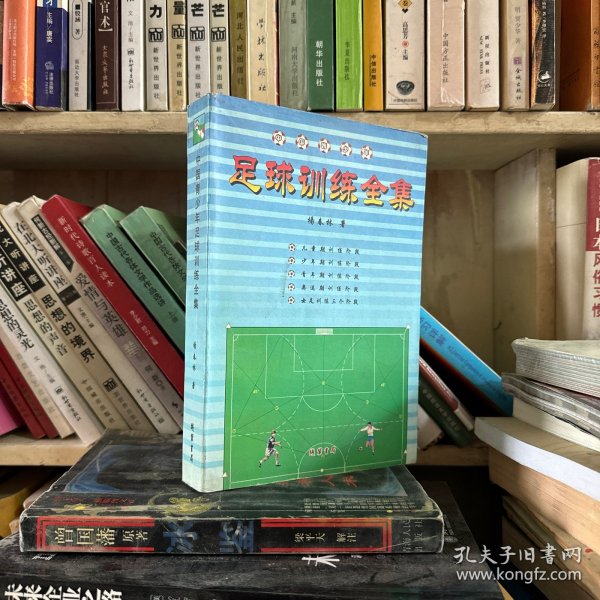 中国青少年足球训练全集