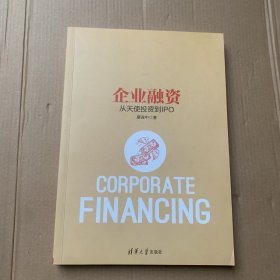 企业融资：从天使投资到IPO