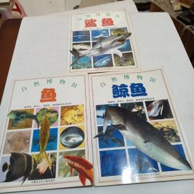 自然博物馆，鲨鱼，鲸鱼，鱼，三本合售
