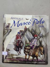 英文精装绘本：Animals Marco Polo Saw