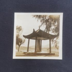 老照片专辑046：民国杭州西湖风景照七张，有白堤、断桥、岳飞墓等，尺寸约5.8*5，大小不一