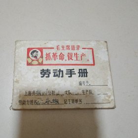 老证件:劳动手册，1969年，记录了每天的劳动内容