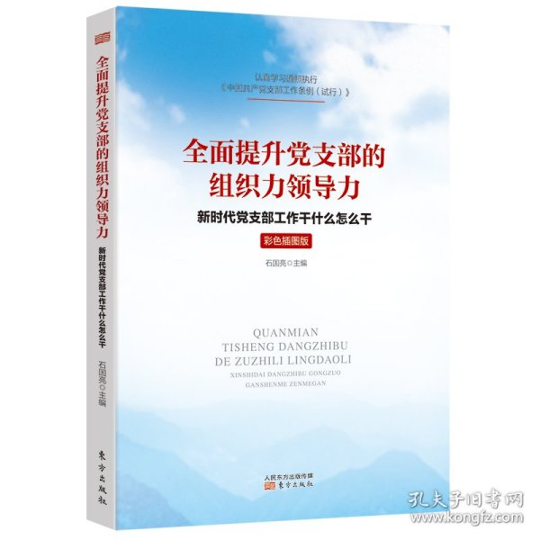 全面提升党支部的组织力领导力：新时代党支部工作干什么怎么干（彩色插图版）