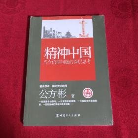 看当下中国书系·精神中国：当今信仰问题的深层思考