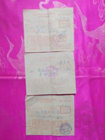 蚌埠市百货公司钟表专营商店（1978,1979年）中号上海手表，天津金鸡日历钟（共3张合售）