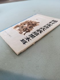 棉籽皮袋式栽培黑木耳